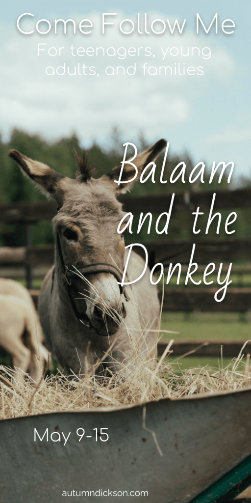Pinnable image of donkey with text written over. Text reads "Come Follow Me for teenagers, young adults, and families, Balaam and the Donkey, May 9-15, autumndickson.com"