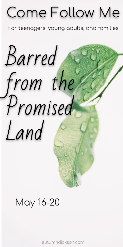 Pinnable imagine of leaves. Text reading: Barred from the promised land, come follow me, may 16-20