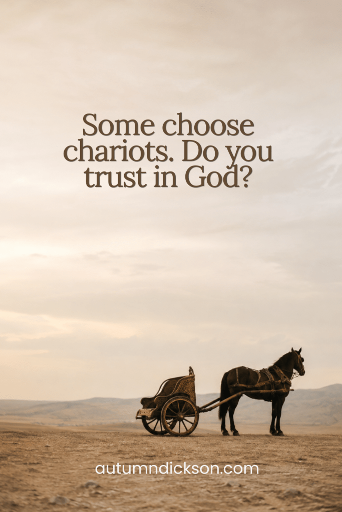 We may say we put our trust in the Lord, but what does that truly look like? Are we inadvertently trusting chariots?